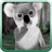 icon TalkingKoalaBear 1.2.0