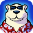 icon Polar Bowler 1.4
