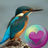 icon Kleurvolle Hummingbirds 2.1.14