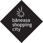 icon CITY iLOVE by Baneasa