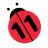 icon n11 14.1.0