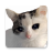 icon Stickers Cats 3.0