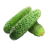 icon tj.agroinform.cucumber 1.4.5
