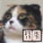icon jp.aboutsoft.android.bunkoreader 0.53