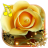 icon Roses Gallery live wallpaper 1.8