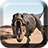 icon Dinosaurs Live Wallpaper 1.8