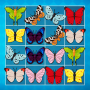 icon Onet Master