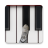 icon Cat Piano 6.0