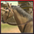 icon Horse Castle Quest 1.0
