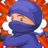 icon Ninja Fun Fun 1.0