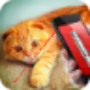 icon Laser Cat Simulator 2016