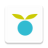 icon Huckleberry 0.9.262