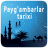 icon Paygambarlar tarixi 2.0