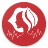 icon Anasalva 3.2.24