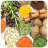 icon Ayurvedic Upchar 1.0.3