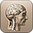 icon ClassicAnatomy 1.1.6