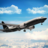 icon Flight Simulator 2.0.3