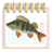 icon com.WebAndPrint.FishCalendar 4.0.0