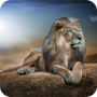 icon Lion Wallpaper