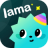 icon Lama 4.10.1