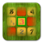 icon True Sudoku 