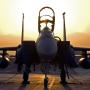 icon Jet Fighters: F-15 Eagle 