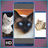 icon Gatos lindos para fondos HD 1.0.4