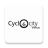 icon Cyclocity Vilnius 2.6.5