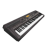 icon Electric Piano 2.0