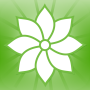 icon Mindfulness